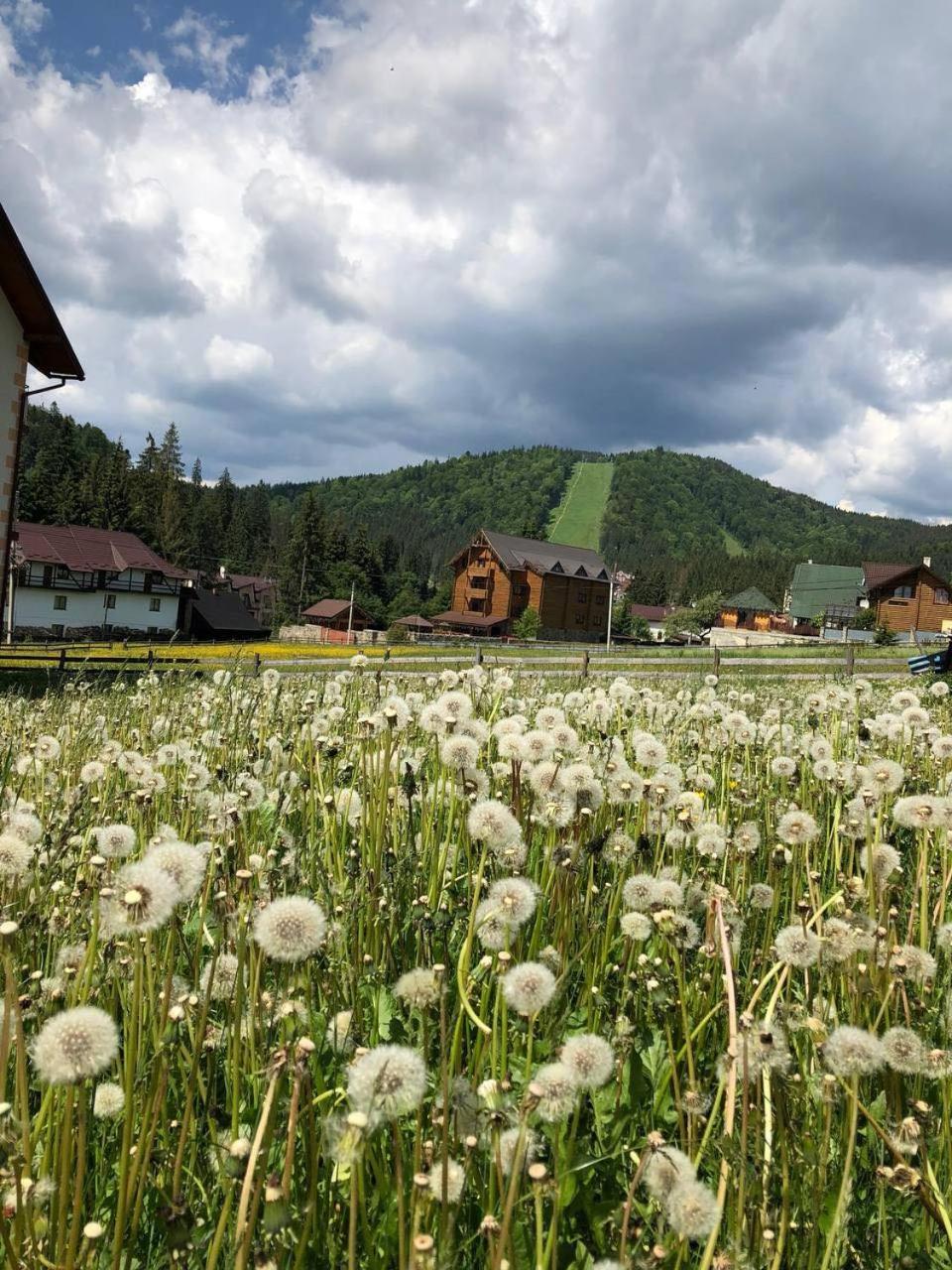 Sadyba U Halyny Sunrise Bukovel Exterior foto