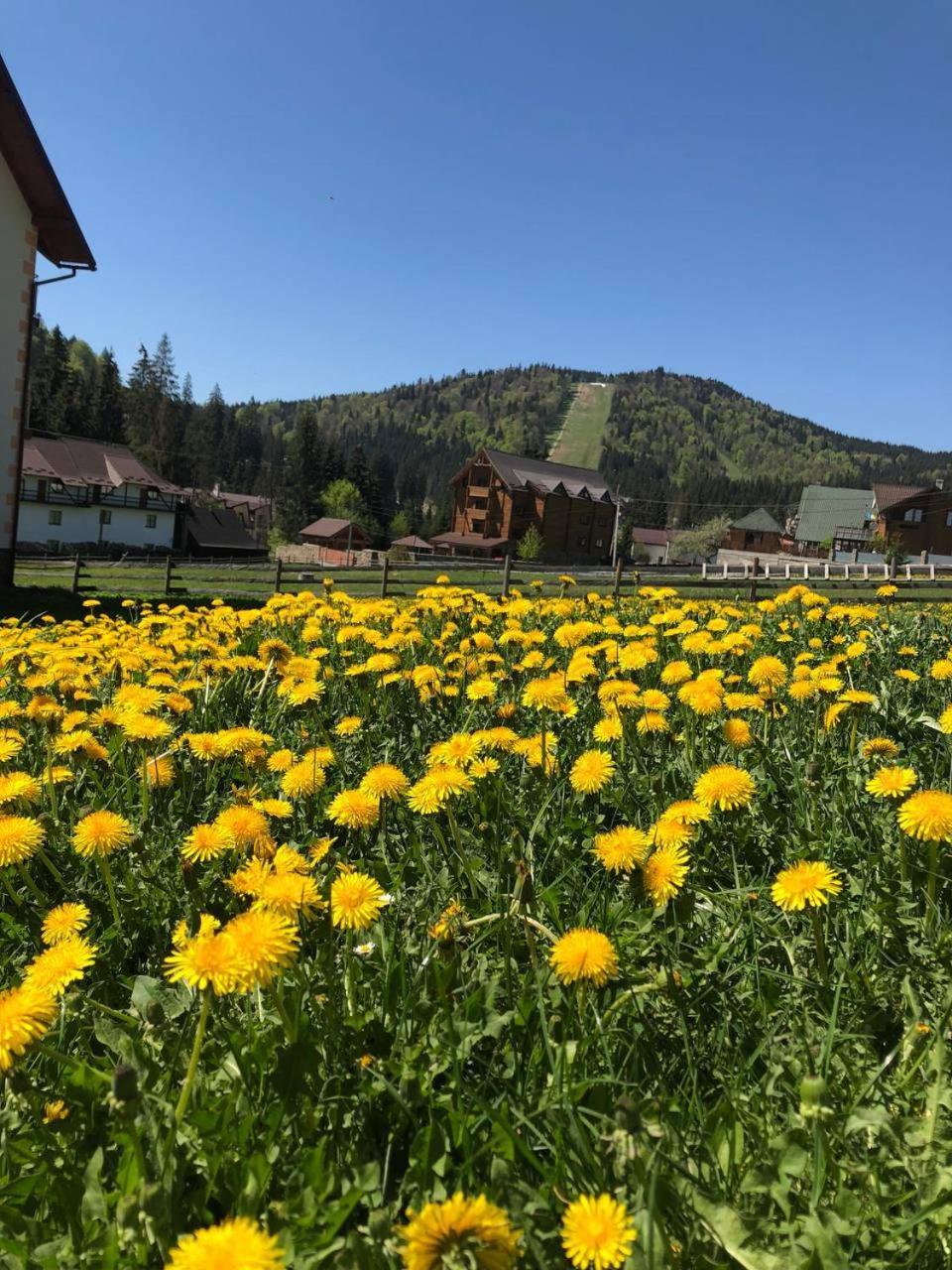 Sadyba U Halyny Sunrise Bukovel Exterior foto
