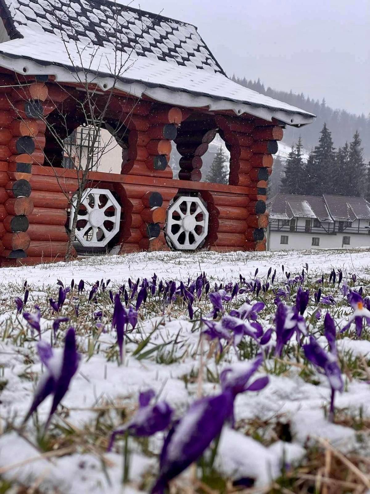 Sadyba U Halyny Sunrise Bukovel Exterior foto